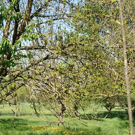 Διαμέρισμα Petite Vallee Berling